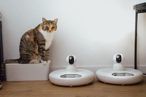 An ozone machine in a living room, used to eliminate odors like cat urine smell for a fresher and cleaner environment.